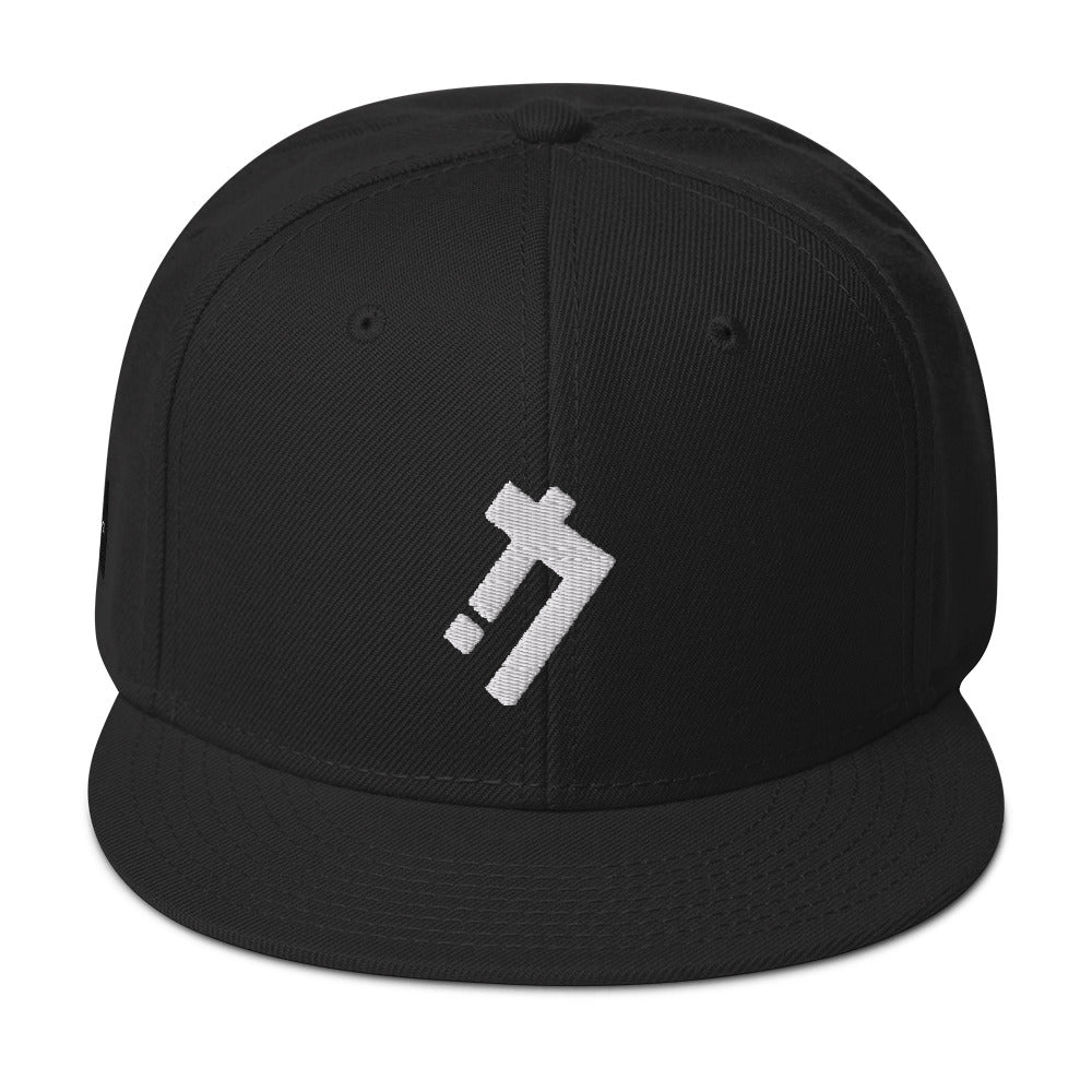 Logic iconz Snapback Hat