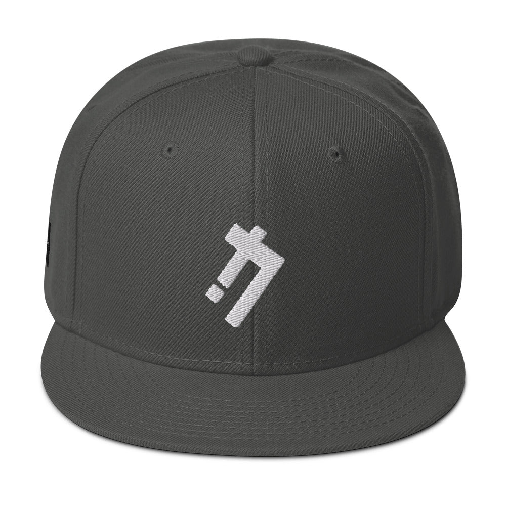 Logic iconz Snapback Hat