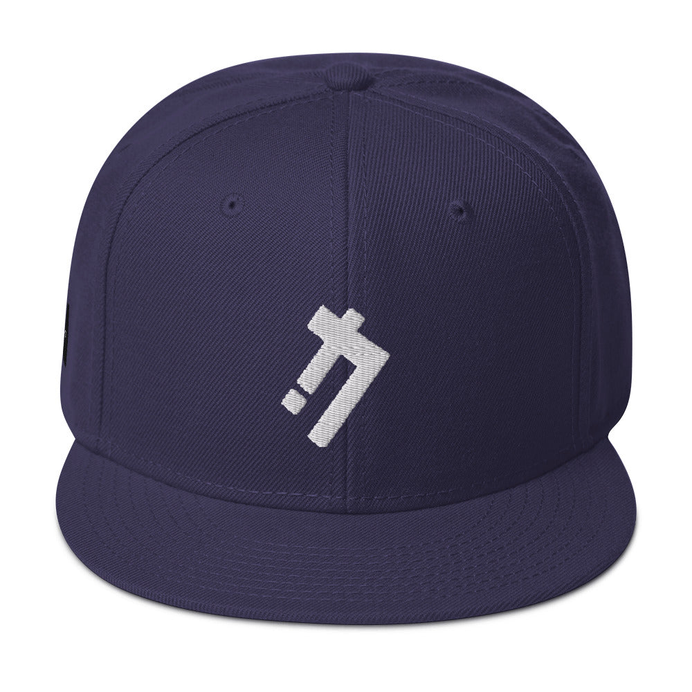 Logic iconz Snapback Hat