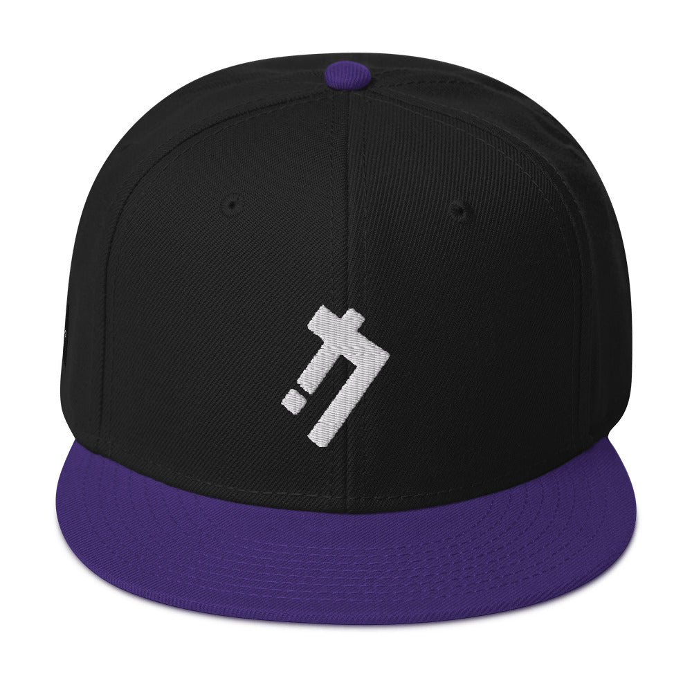 Logic iconz Snapback Hat