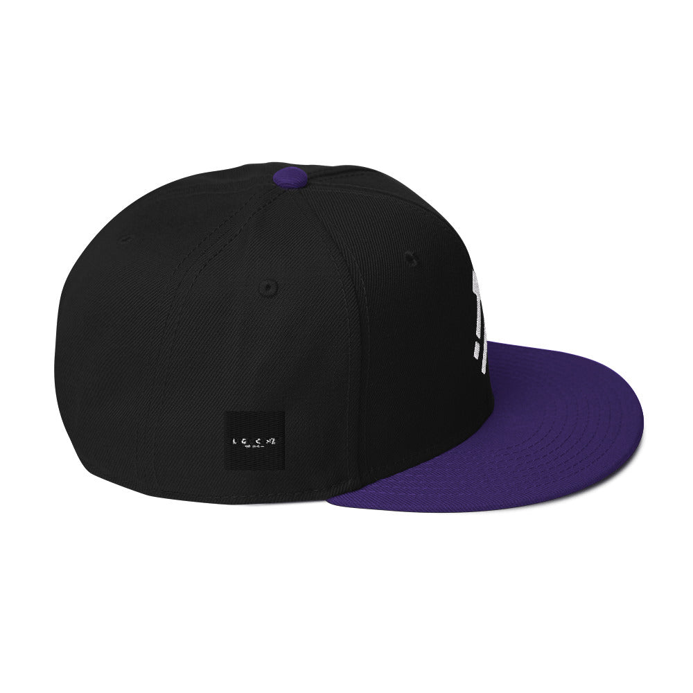 Logic iconz Snapback Hat