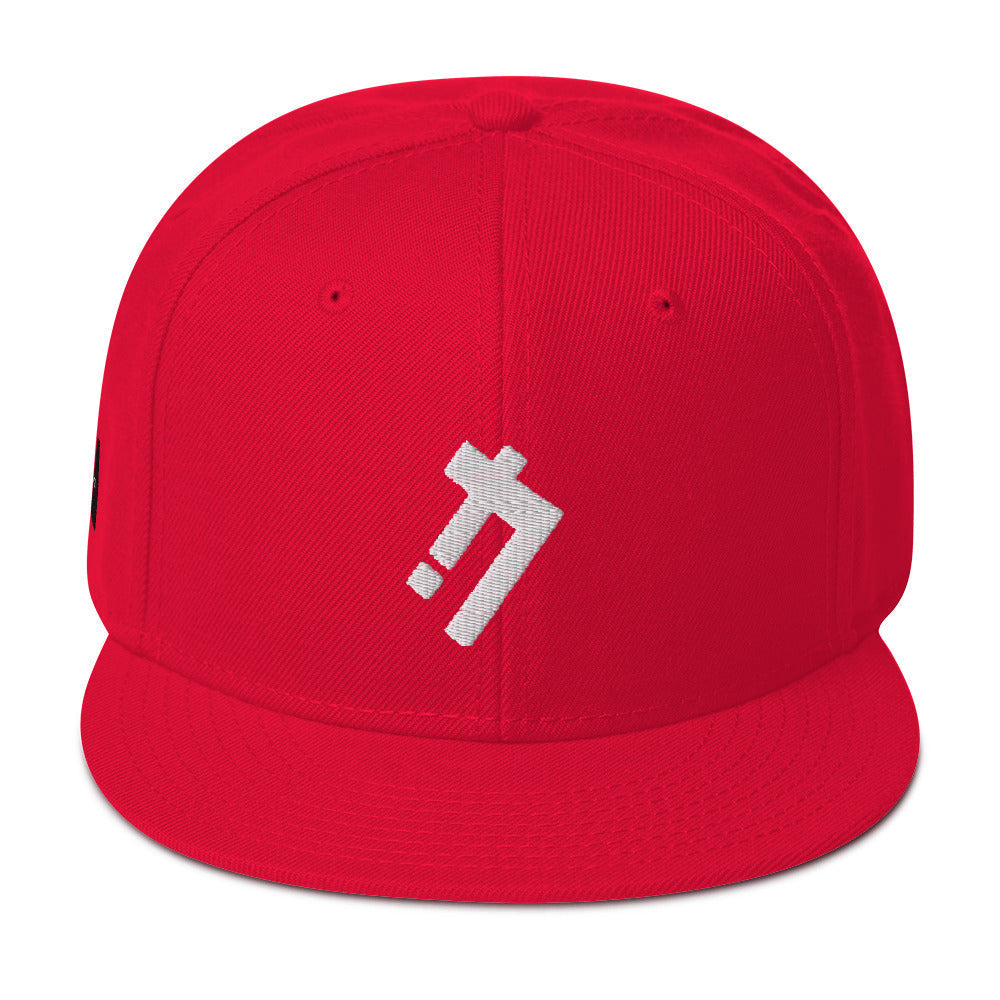 Logic iconz Snapback Hat