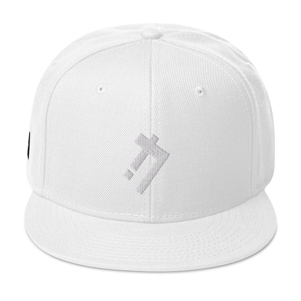 Logic iconz Snapback Hat