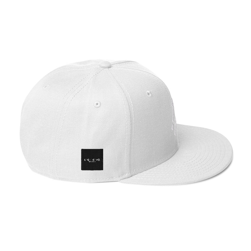 Logic iconz Snapback Hat